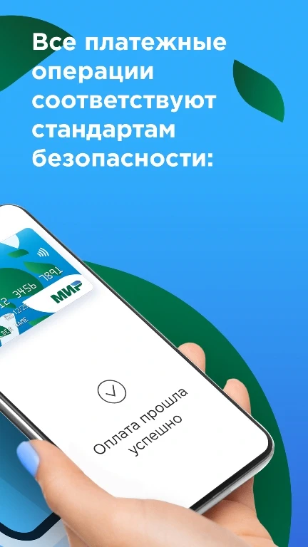 Скриншот Mir Pay 3