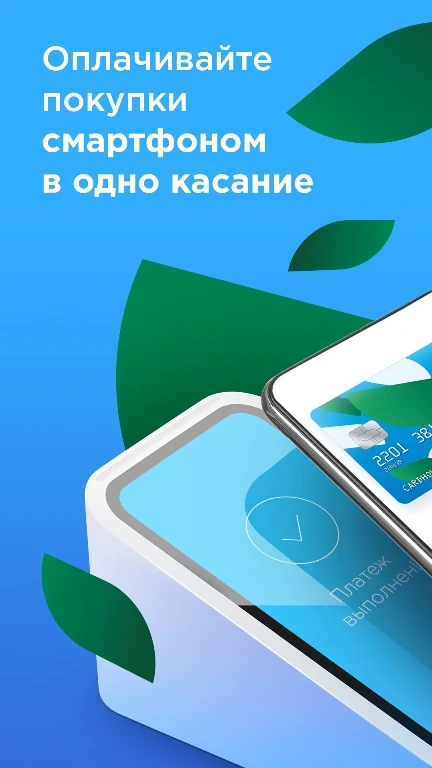 Скриншот Mir Pay 2