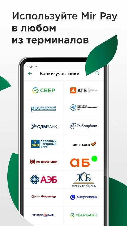 Скриншот Mir Pay 6