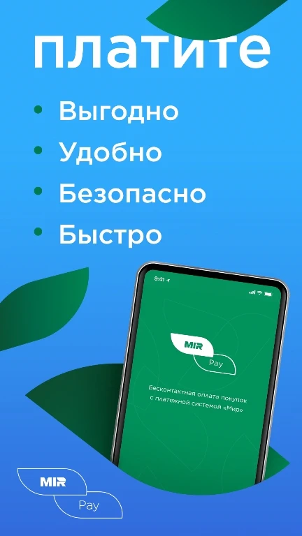 Скриншот Mir Pay 1